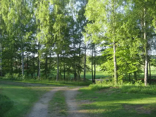 Bild 14 von 18