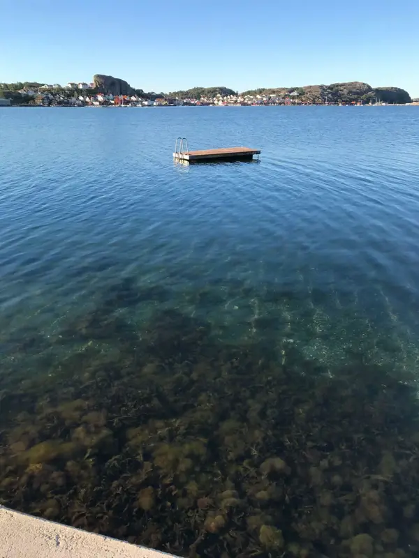 Bild 22 von 22