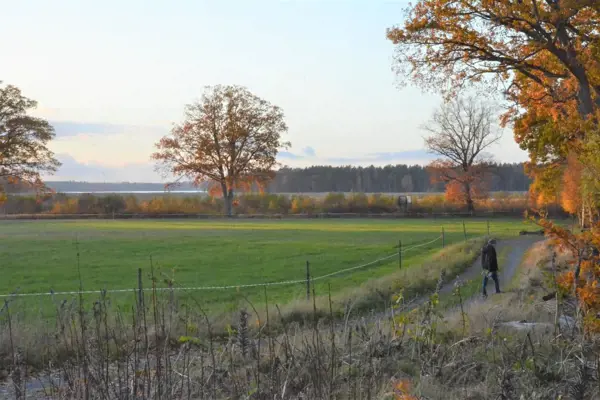 Bild 22 von 31