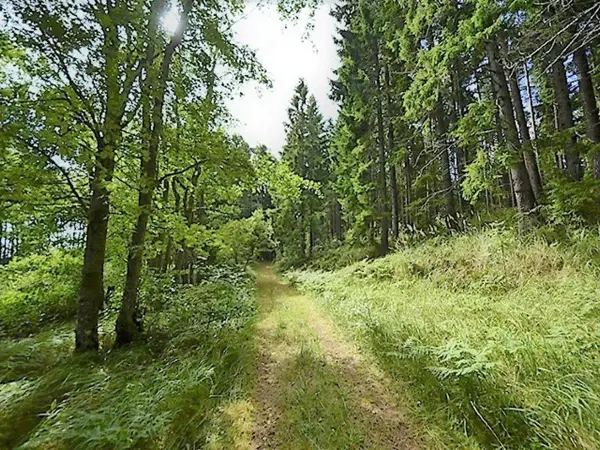 Bild 23 von 31