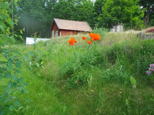Bild 31 von 32