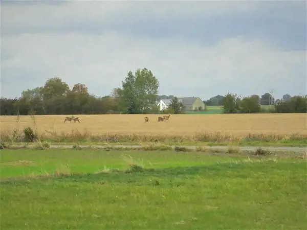 Bild 9 von 9