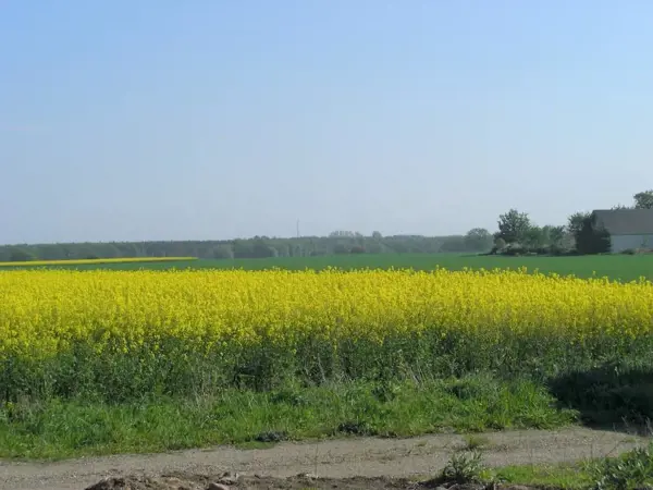 Bild 7 von 9
