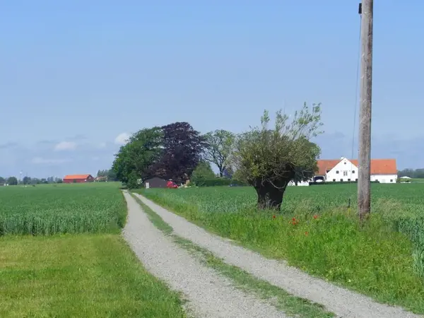 Bild 8 von 9