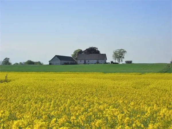 Bild 9 von 9