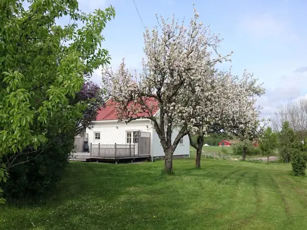Bild 20 von 22