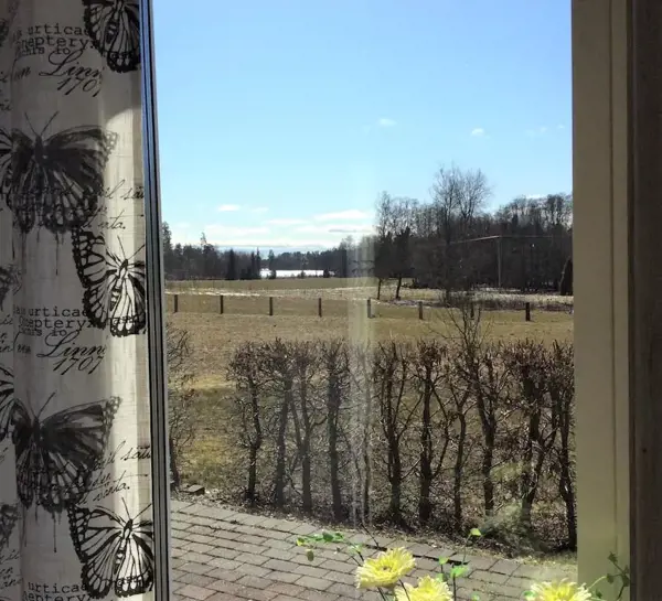 Bild 2 von 22