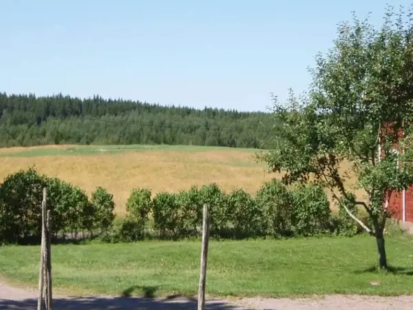 Bild 10 von 11