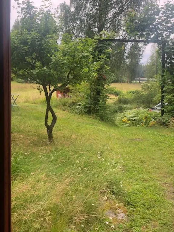 Bild 17 von 26