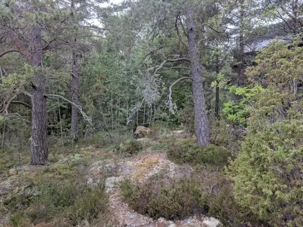 Bild 31 von 33