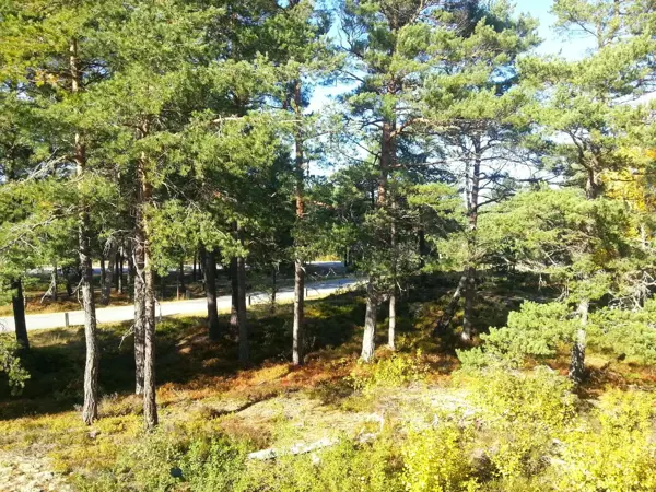 Bild 33 von 33