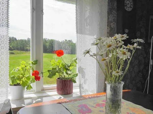 Bild 9 von 27