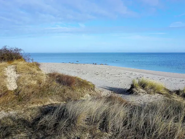 Bild 8 von 28