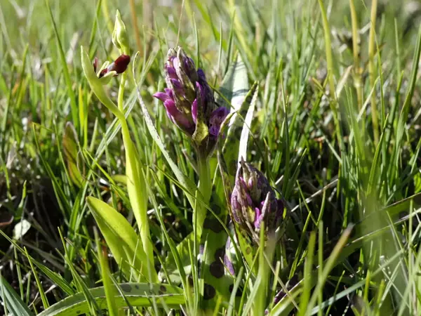 Bild 20 von 31
