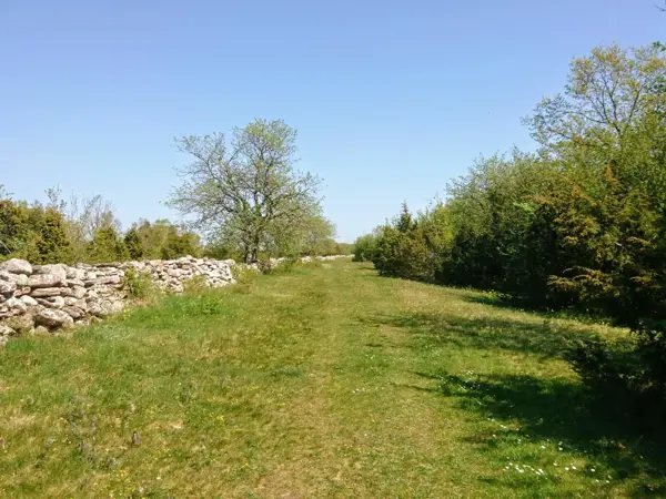 Bild 27 von 31