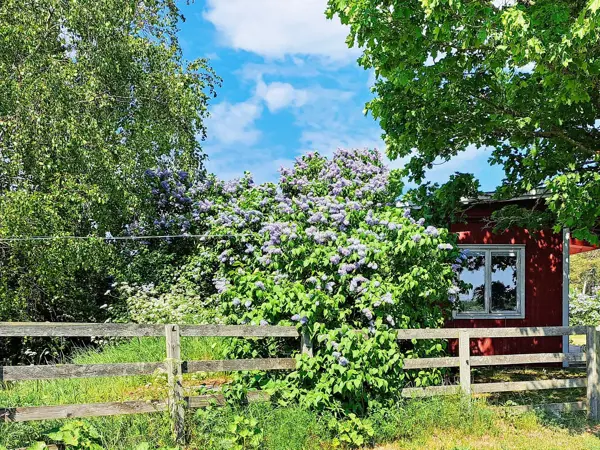 Ferienhaus 04880 in Südinsel / Gotland