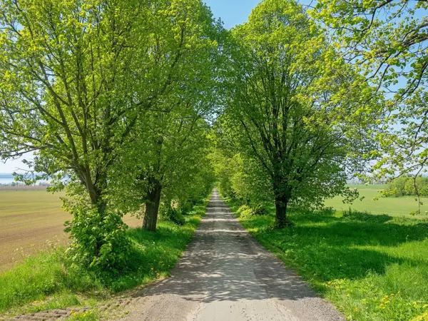 Bild 3 von 21