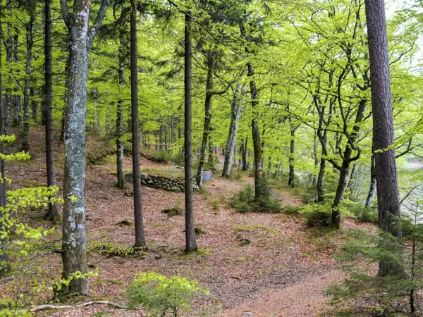Bild 34 von 34
