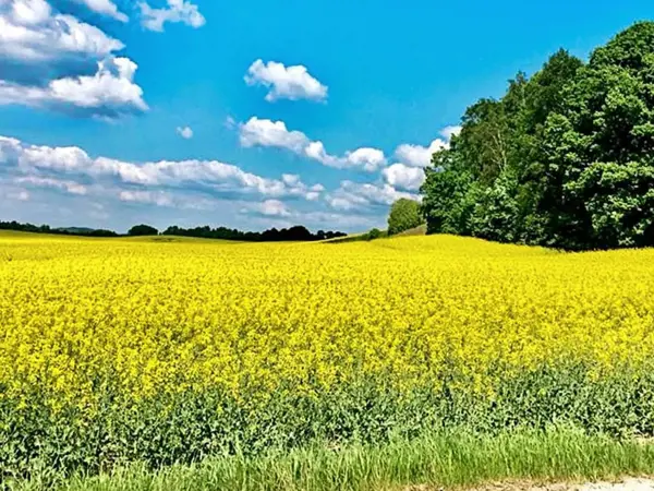 Bild 6 von 29