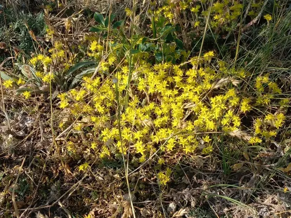 Bild 32 von 33