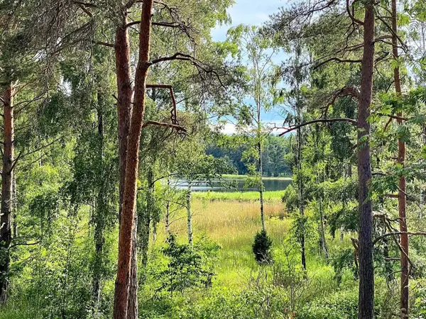 Bild 5 von 19