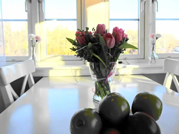 Bild 17 von 28