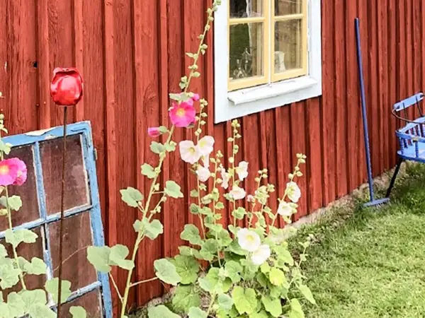 Bild 38 von 41