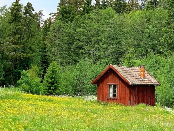 Bild 5 von 30