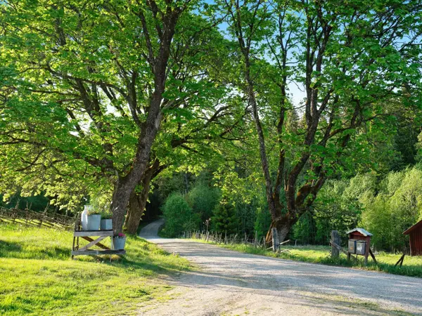 Bild 6 von 30