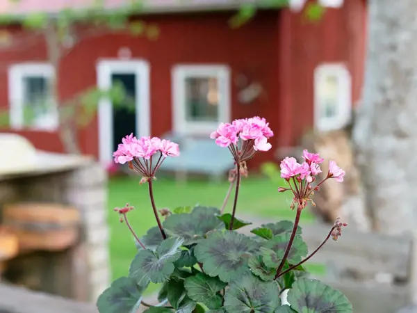 Bild 7 von 30