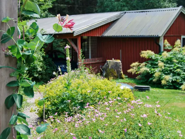 Bild 8 von 37
