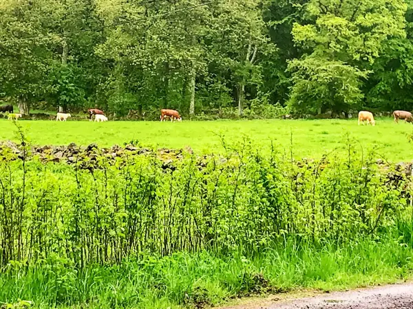 Bild 19 von 37
