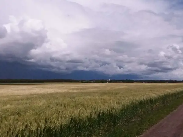 Bild 27 von 36