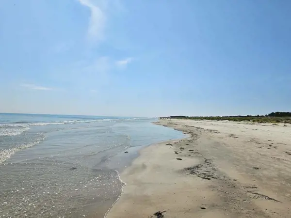 Bild 26 von 52
