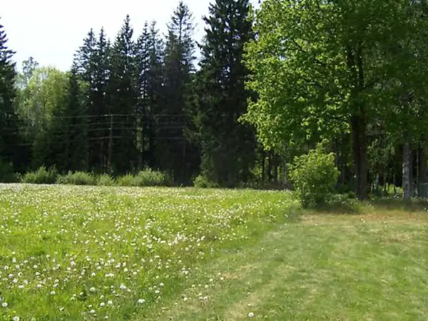 Bild 4 von 22