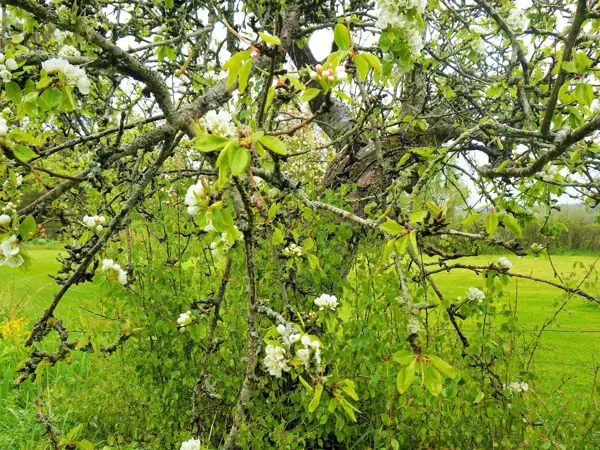 Bild 2 von 36