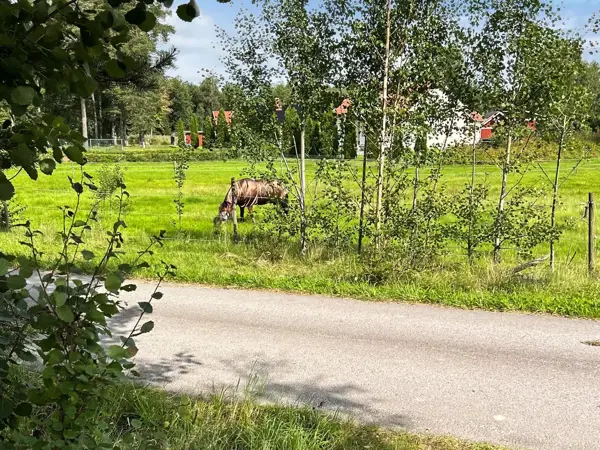Bild 35 von 36