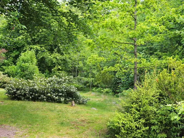 Bild 2 von 23