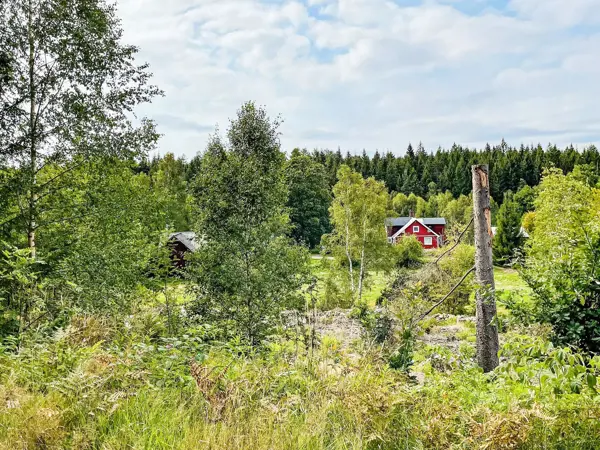 Bild 5 von 40