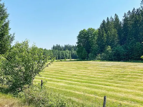 Bild 37 von 40