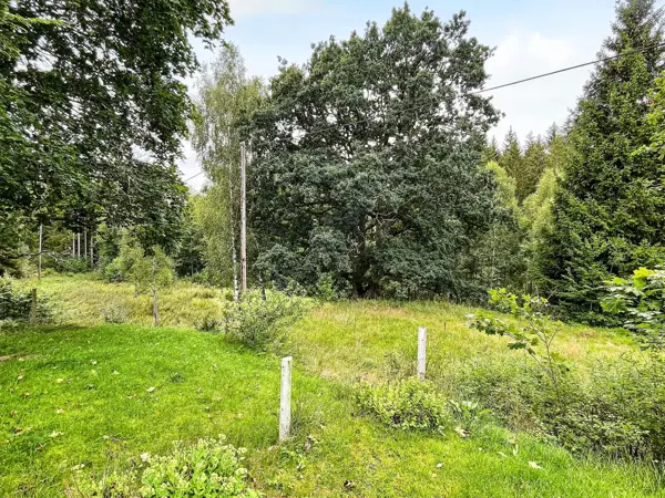 Bild 40 von 40