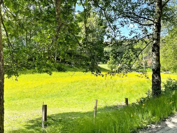 Bild 39 von 39
