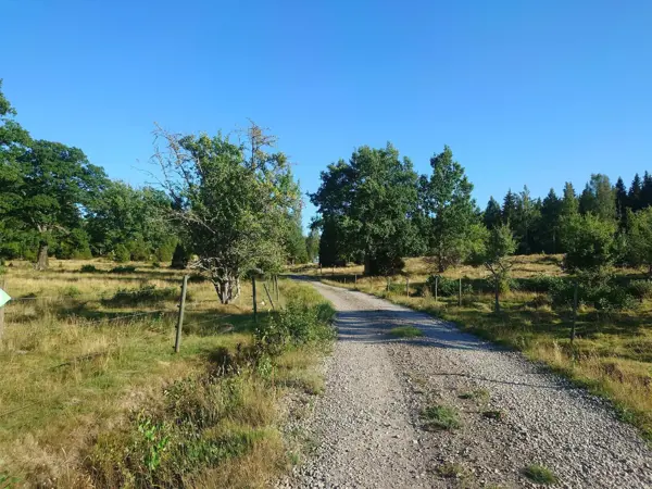 Bild 31 von 37