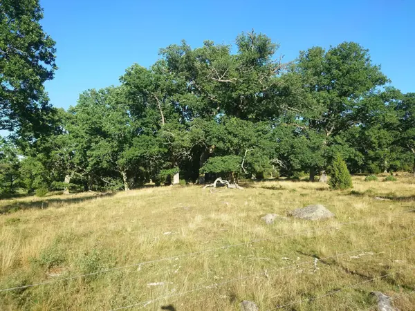 Bild 35 von 37
