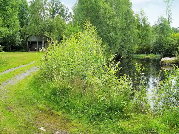 Bild 6 von 32