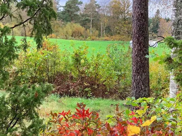 Bild 23 von 27