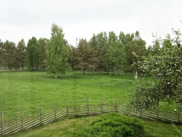 Bild 6 von 20