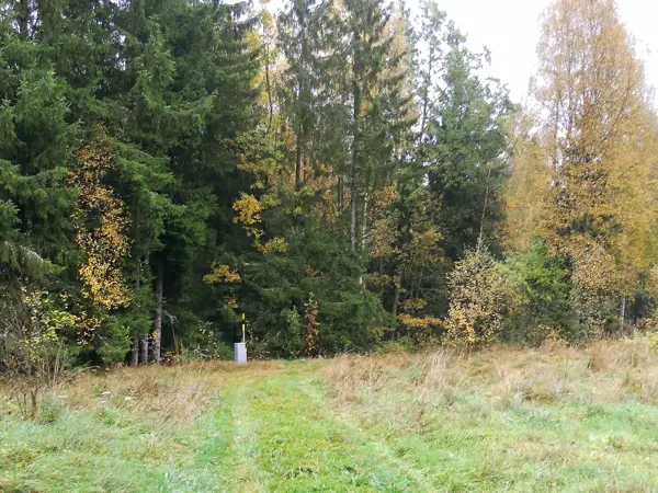 Bild 5 von 12