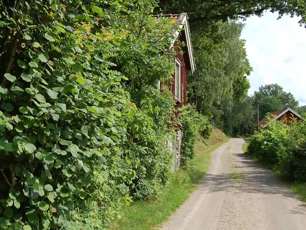 Bild 15 von 15