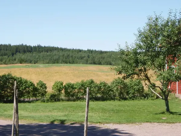 Bild 4 von 14